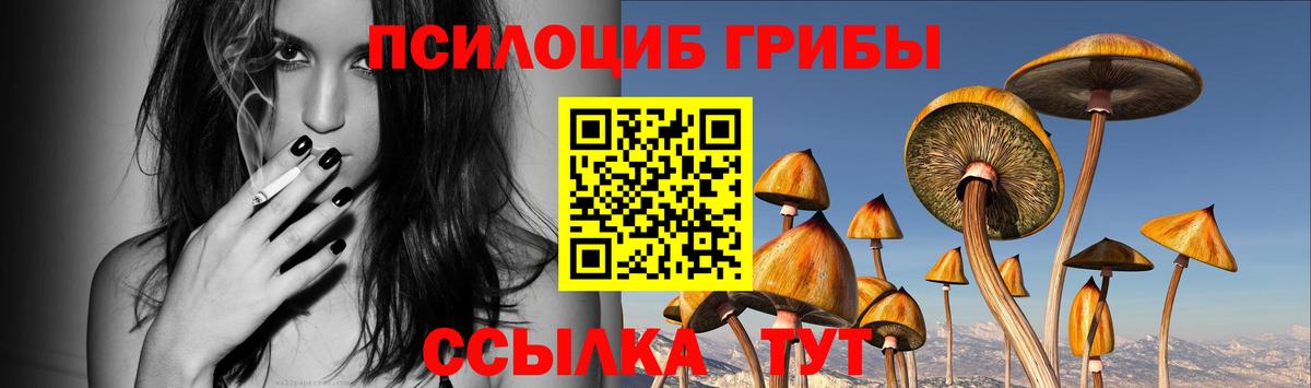 Галлюциногенные грибы GOLDEN TEACHER  Псилоцибиновые грибы ЛСД  Вход с VPN  Гай 